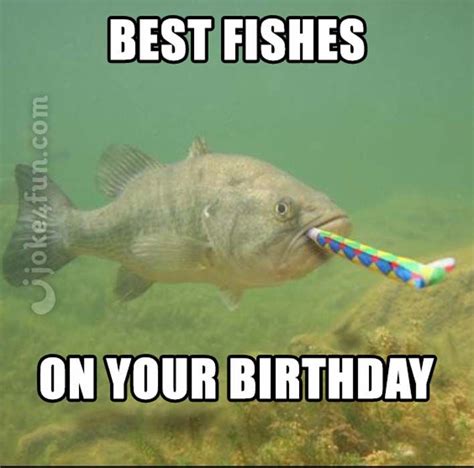 fish birthday meme